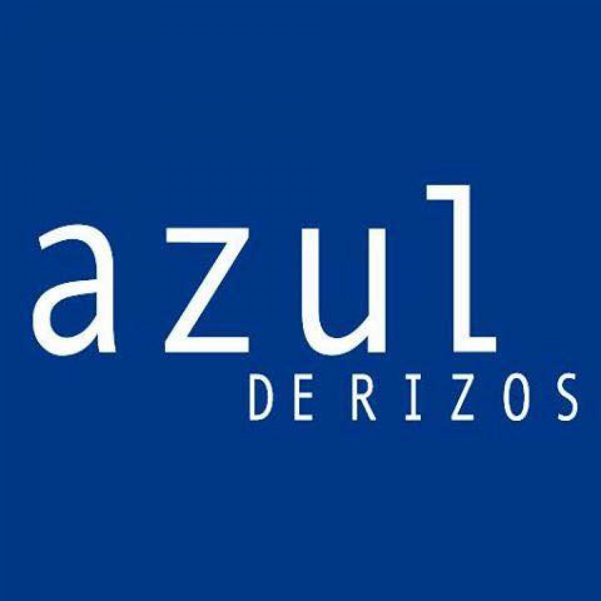 Peluquería Azul De Rizos
