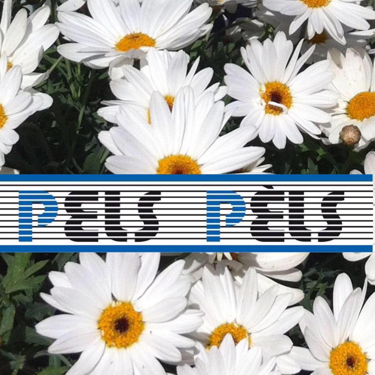 Peluquería Pels Pels