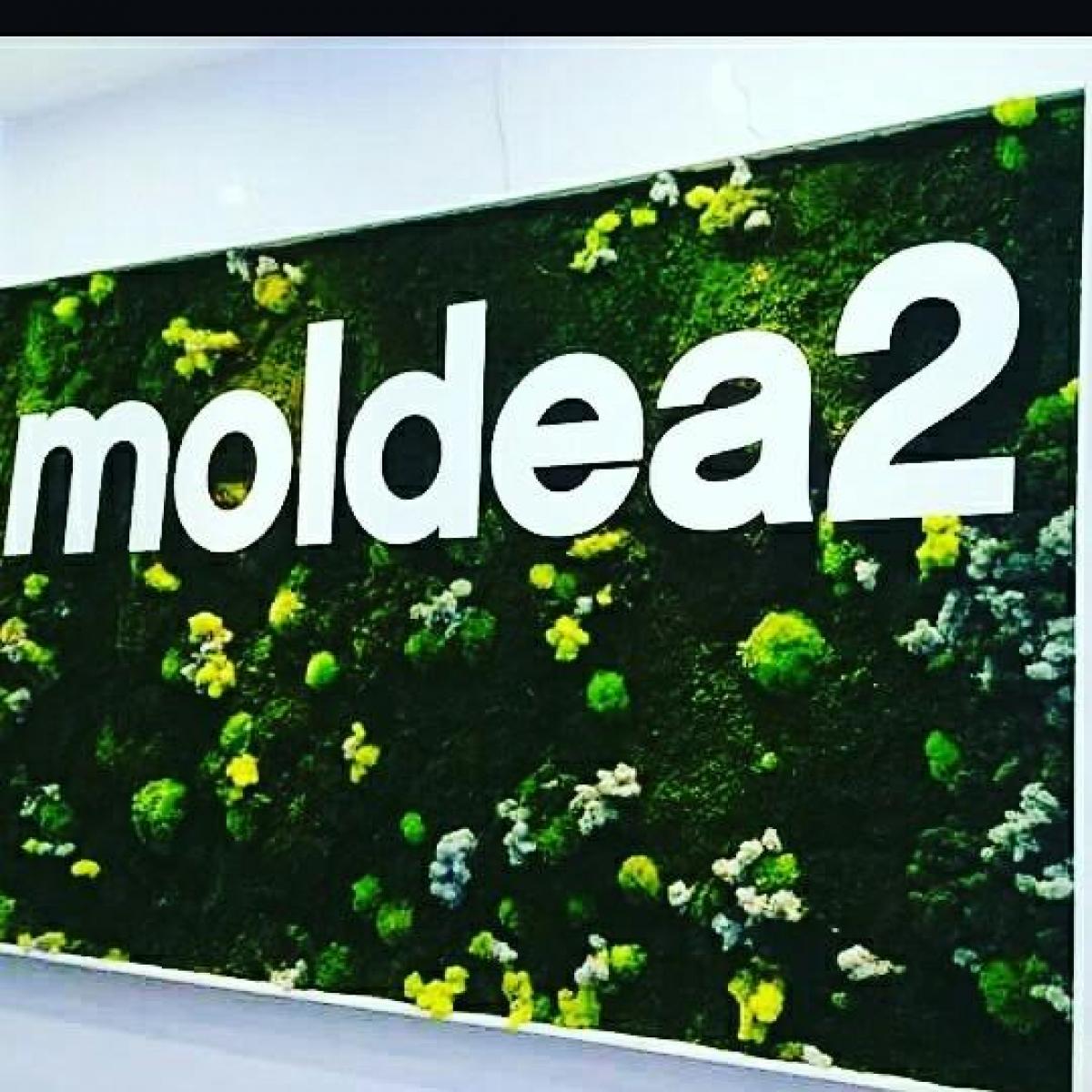 Peluquería Moldea 2