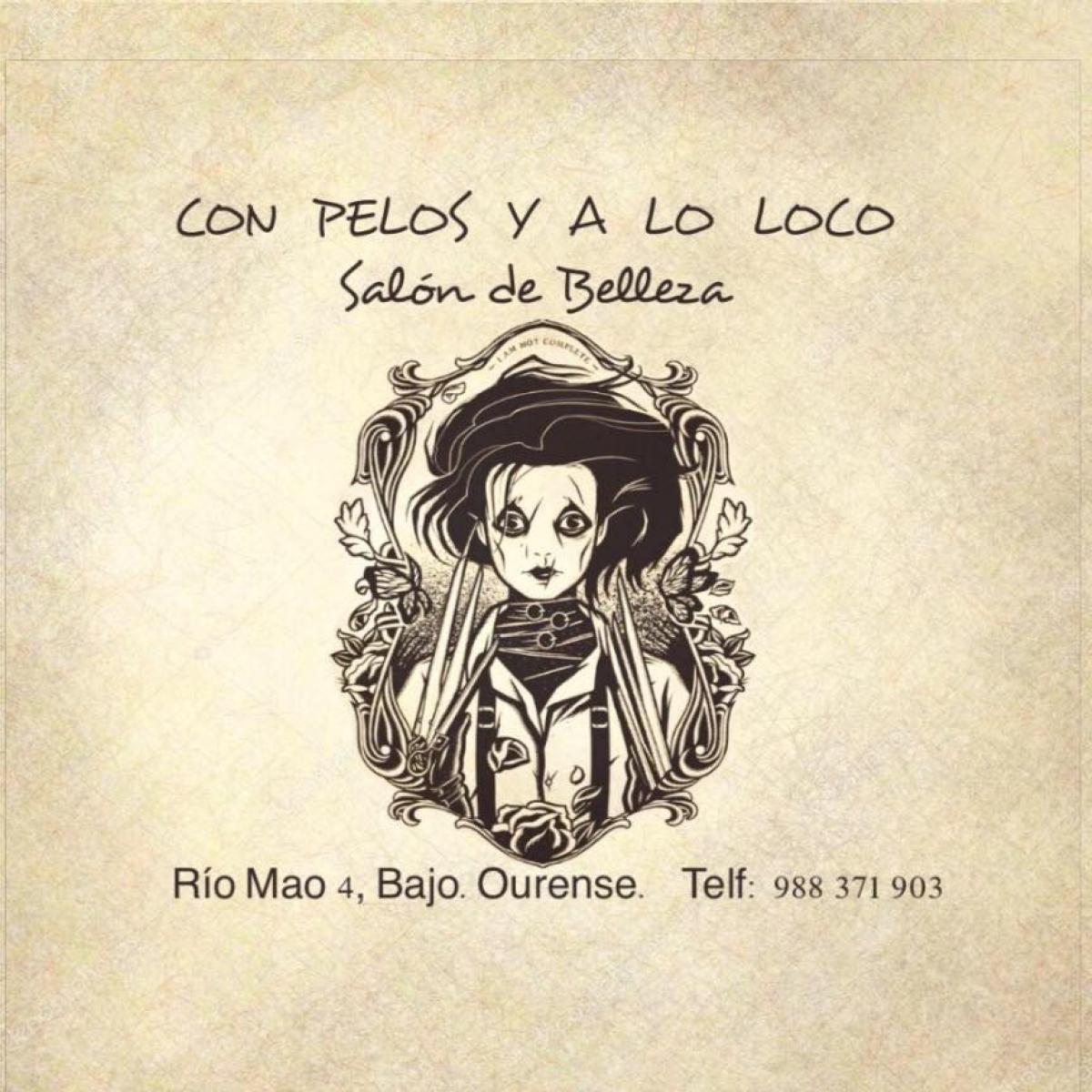 Peluquería Con Los Pelos Y A Lo Loco