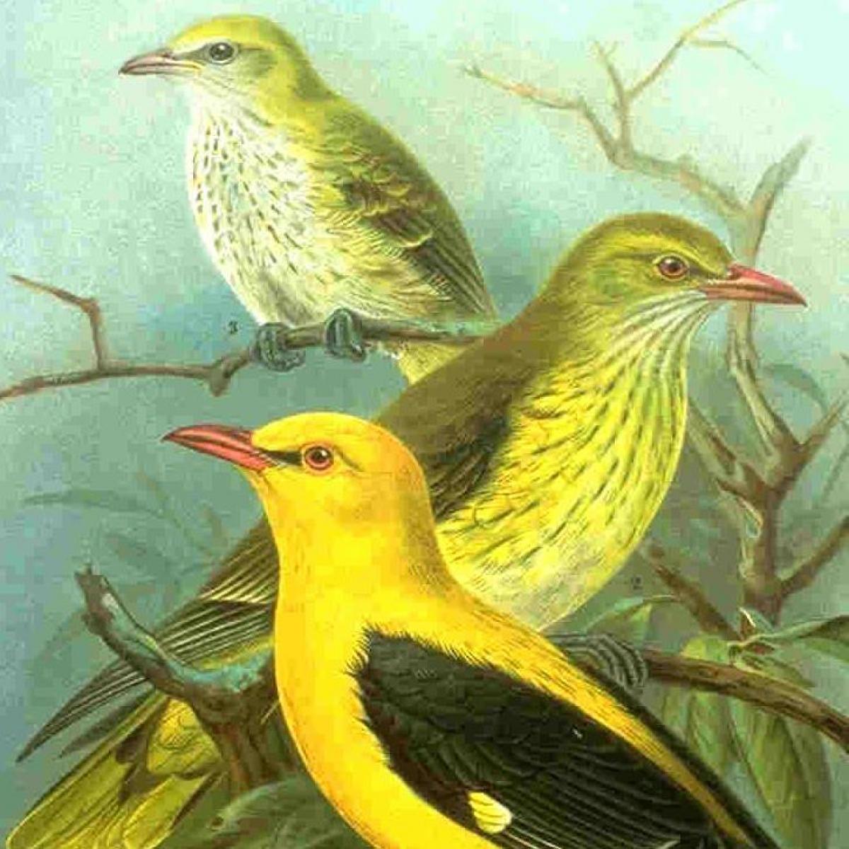Peluquería Duarte