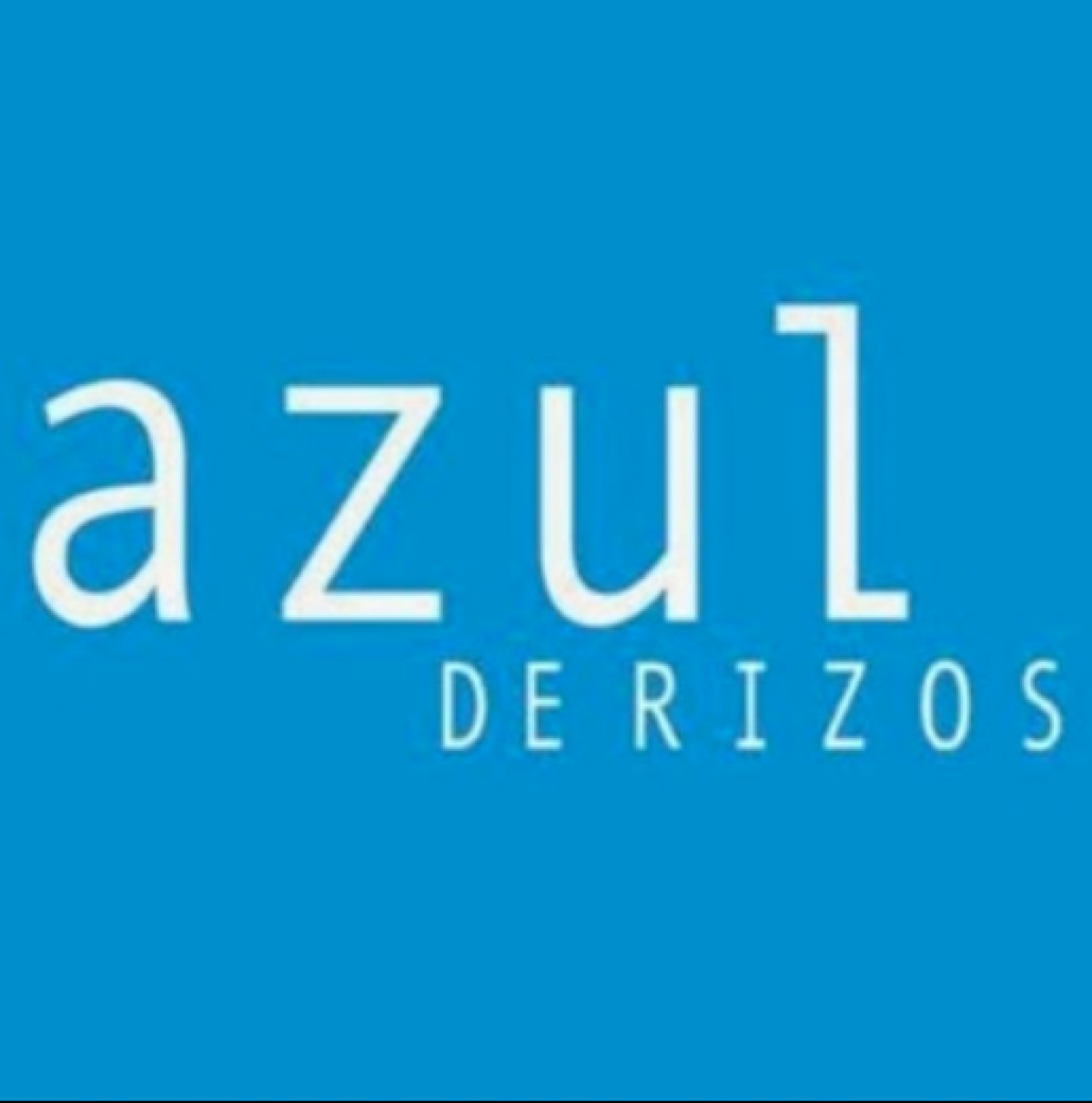 Peluquería Azul De Rizos